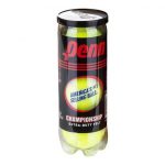 Penn Championship Extra Duty Tennis Ball Can