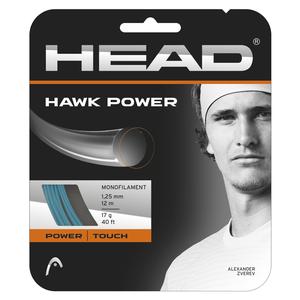 Hawk Power 17G Tennis String
