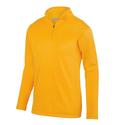 Youth Wicking Fleece Pullover 025_GOLD